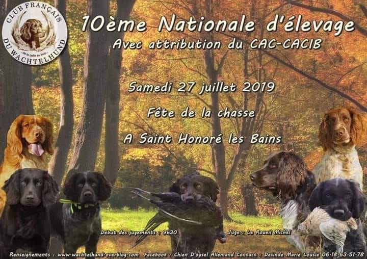 Du Val Des Houchis - Prochainement 10ème Nationale d'élevage