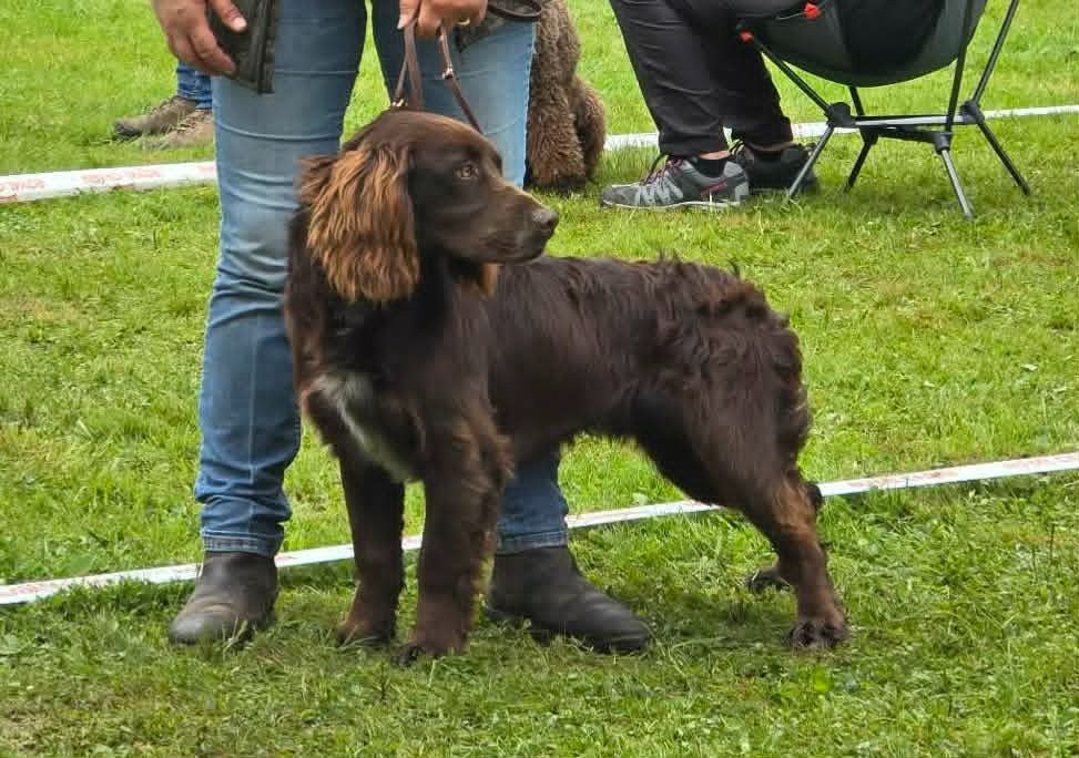 Athos Du Val Des Houchis